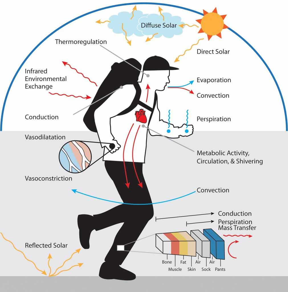 body heat transfer thermal comfort